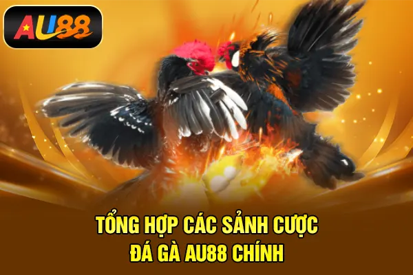Đá Gà AU88 – Trải Nghiệm Theo Dõi Và Dự Đoán Kịch Tính Tổng hợp các sảnh cược đá gà AU88 chính