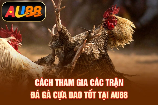 Đá Gà Cựa Dao –Siêu Phẩm Giải Trí Nổi Danh 2026 Cách tham gia các trận đá gà cựa dao tốt tại AU88